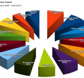 Grants - smaller - chart 20-21